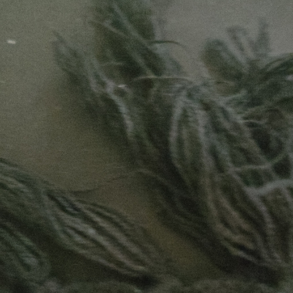 Warner Bros. Black Harry Potter Scarf - Picture 3 of 9